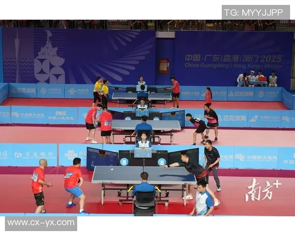 乒乓球盛宴：深入了解上海乒乓球队的训练与比赛节奏