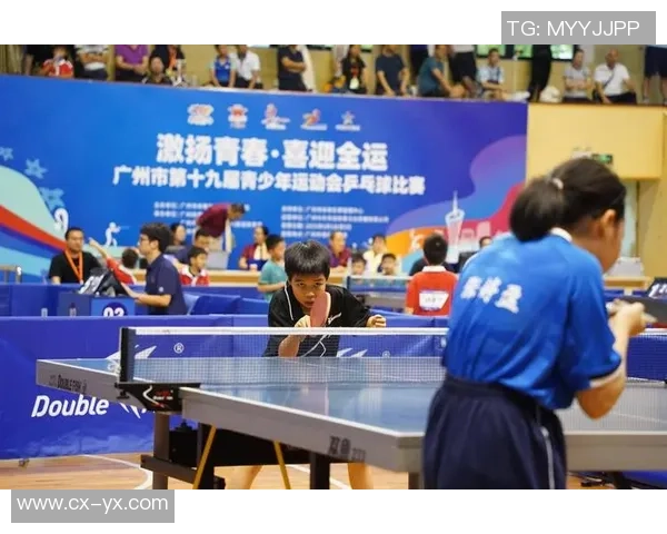 乒乓球意识排行榜揭晓广州乒乓球队荣获第三名佳绩