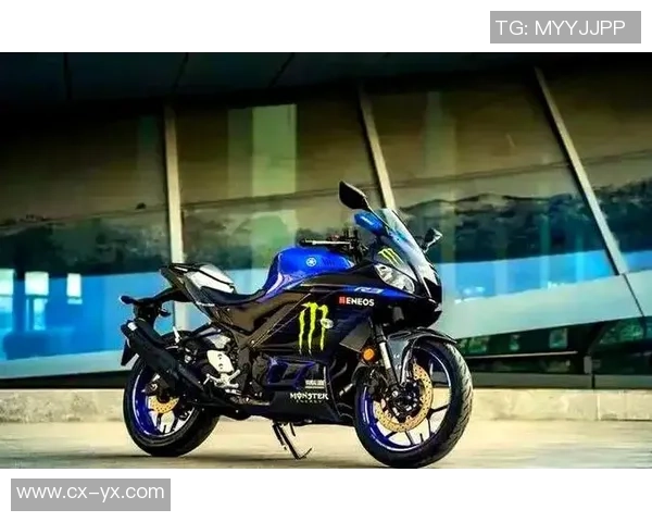 排球新手必看：从基础力量训练到实战技巧的全面指南