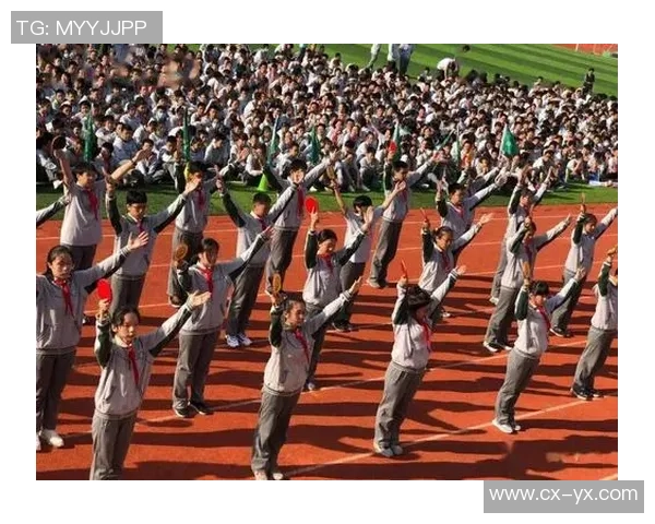 南京极限运动队整体表现分析及其对运动发展的影响探讨