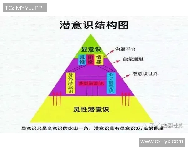 揭开真相足球的面纱探寻背后故事与真实竞技精神