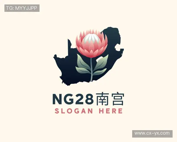 介绍ng28南宫